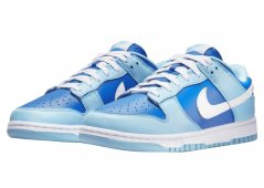 Nike Dunk Low Retro QS Argon1