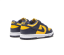 Nike Dunk Low Michigan (GS)