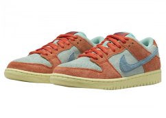 Nike SB Dunk Low Noise Aqua1